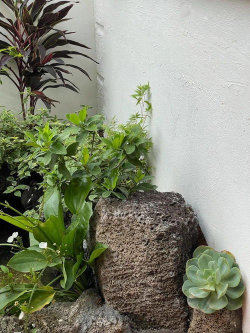 花12萬改造170㎡別墅庭院，樂享愜意的花園生活